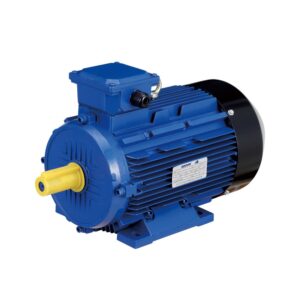MOTEUR ELECTRIQUE HAPPY 5.5